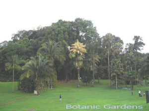 Botanical Gardens